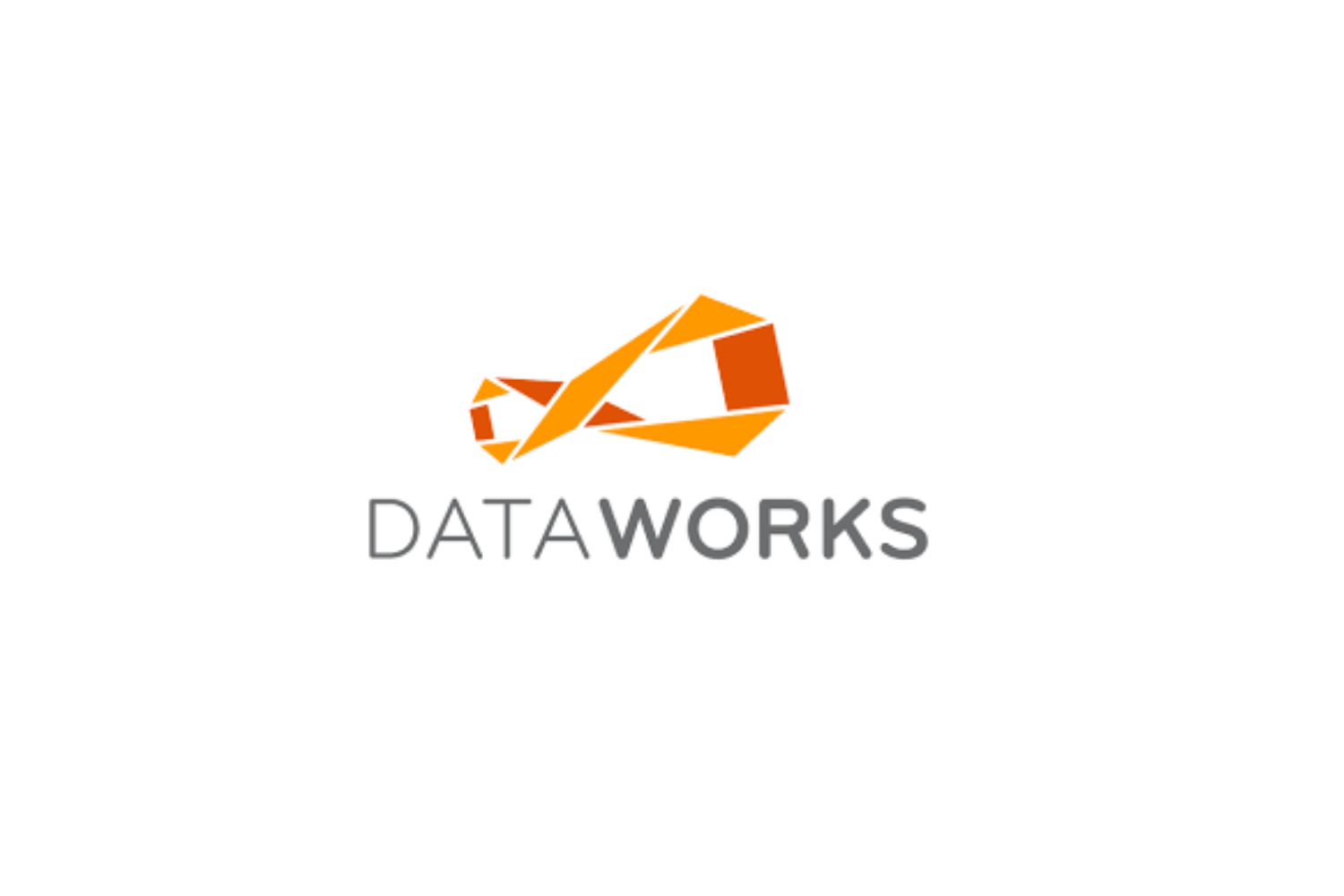 🧠 DataWorks