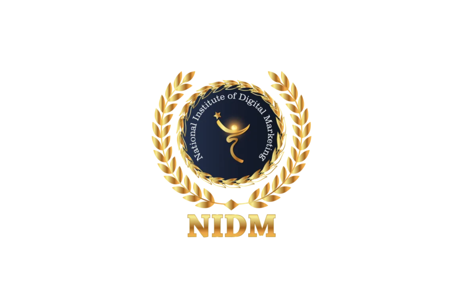 🏫 National Institute of Digital Marketing (NIDM INDIA)